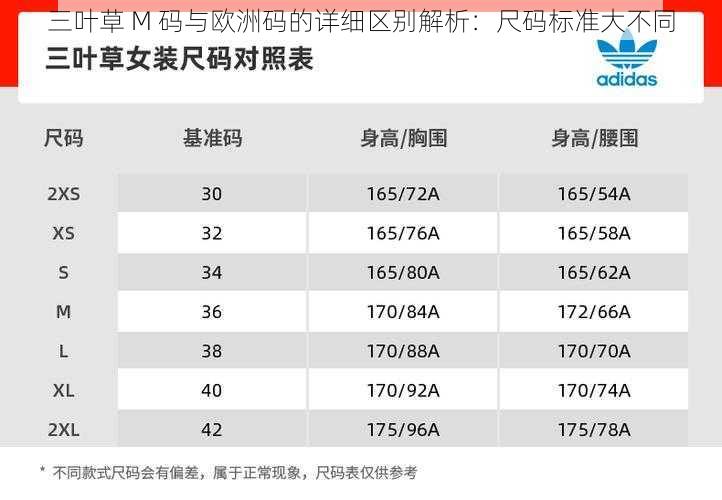 三叶草 M 码与欧洲码的详细区别解析：尺码标准大不同