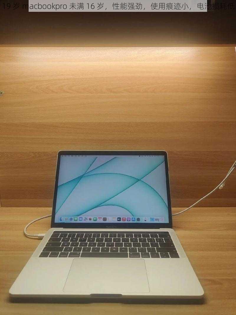 19 岁 macbookpro 未满 16 岁，性能强劲，使用痕迹小，电池损耗低