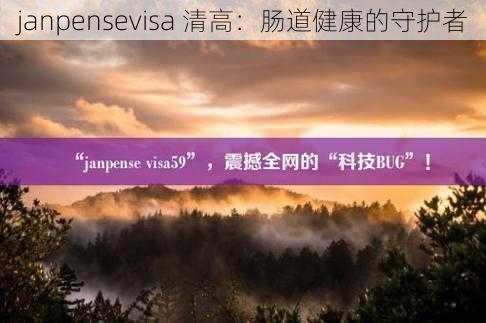 janpensevisa 清高：肠道健康的守护者