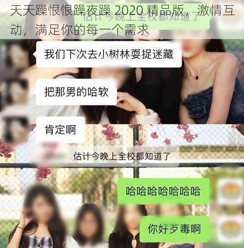 天天躁恨恨躁夜躁 2020 精品版，激情互动，满足你的每一个需求