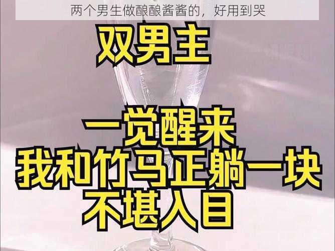 两个男生做酿酿酱酱的，好用到哭