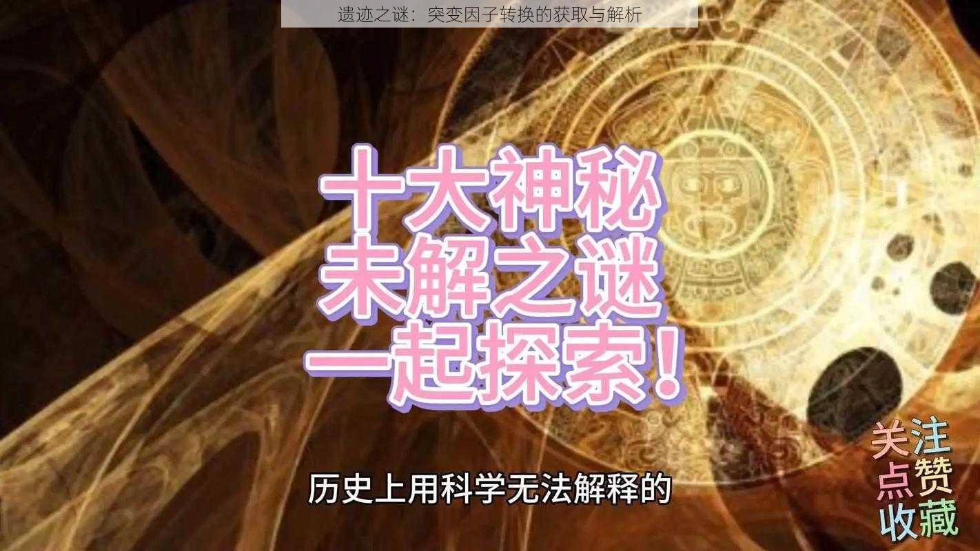 遗迹之谜：突变因子转换的获取与解析