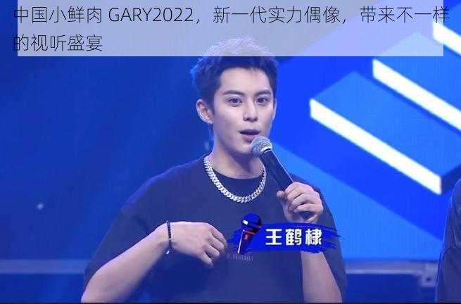 中国小鲜肉 GARY2022，新一代实力偶像，带来不一样的视听盛宴