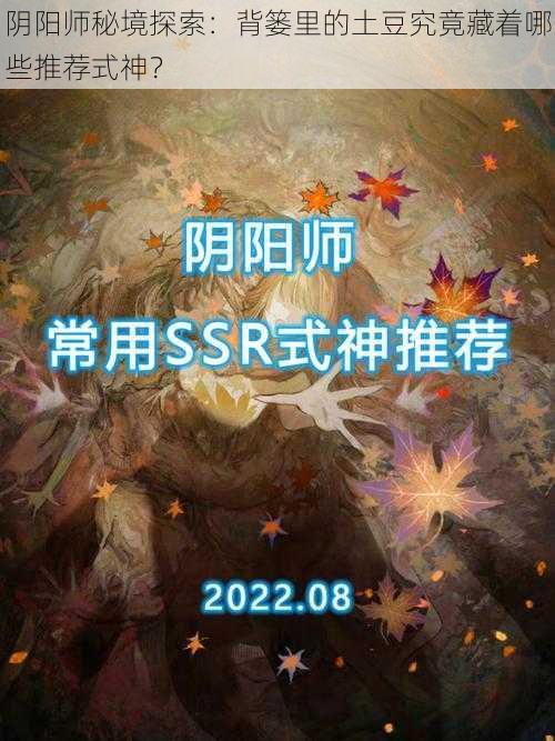 阴阳师秘境探索：背篓里的土豆究竟藏着哪些推荐式神？