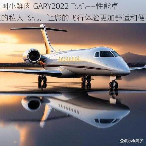 中国小鲜肉 GARY2022 飞机——性能卓越的私人飞机，让您的飞行体验更加舒适和便捷