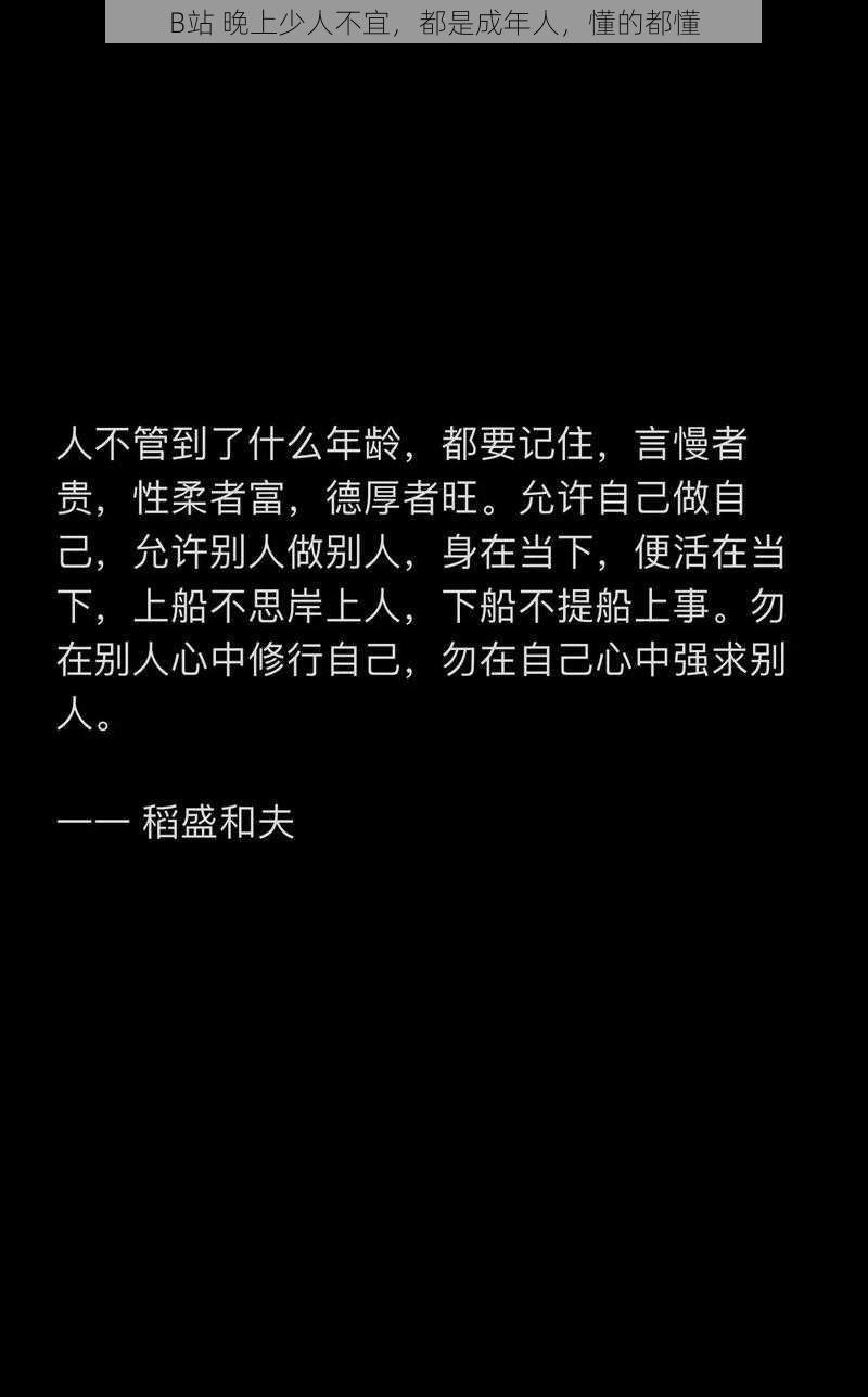 B站 晚上少人不宜，都是成年人，懂的都懂