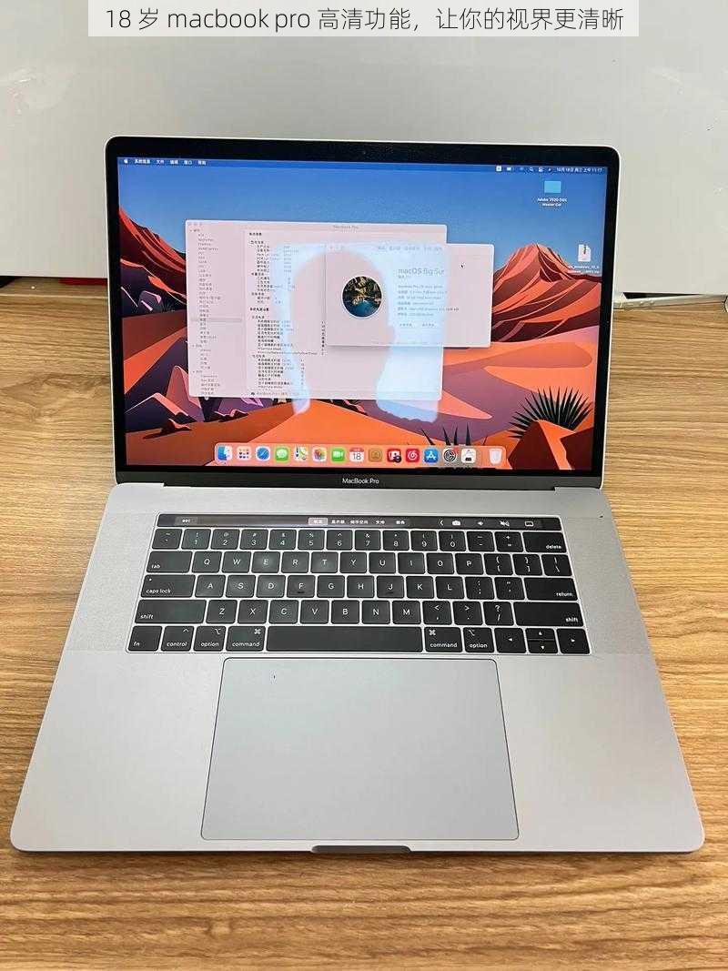 18 岁 macbook pro 高清功能，让你的视界更清晰