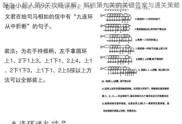 智力小超人第9关攻略详解：解锁第九关的关键答案与通关策略