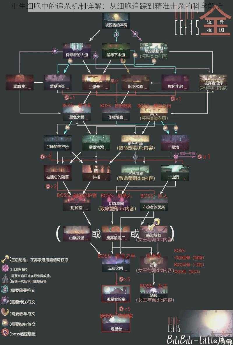 重生细胞中的追杀机制详解：从细胞追踪到精准击杀的科学解析