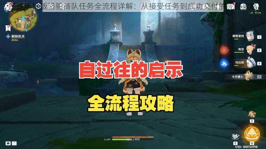 征途手机版骆驼商队任务全流程详解：从接受任务到成功交付的完整攻略