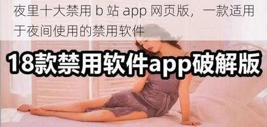 夜里十大禁用 b 站 app 网页版，一款适用于夜间使用的禁用软件