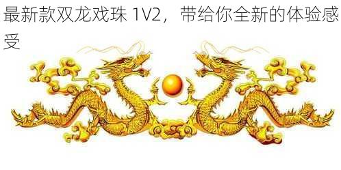 最新款双龙戏珠 1V2，带给你全新的体验感受