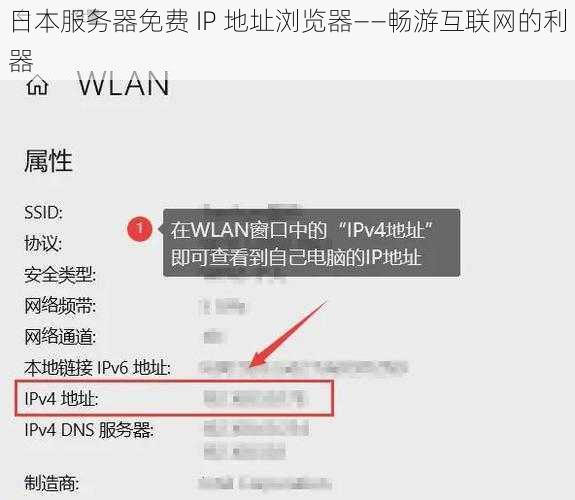 日本服务器免费 IP 地址浏览器——畅游互联网的利器