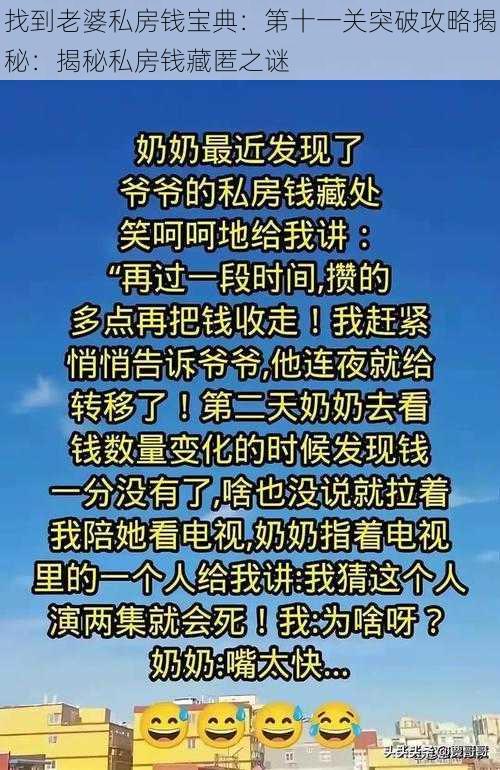 找到老婆私房钱宝典：第十一关突破攻略揭秘：揭秘私房钱藏匿之谜