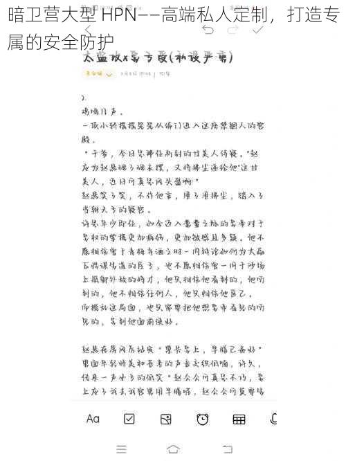 暗卫营大型 HPN——高端私人定制，打造专属的安全防护