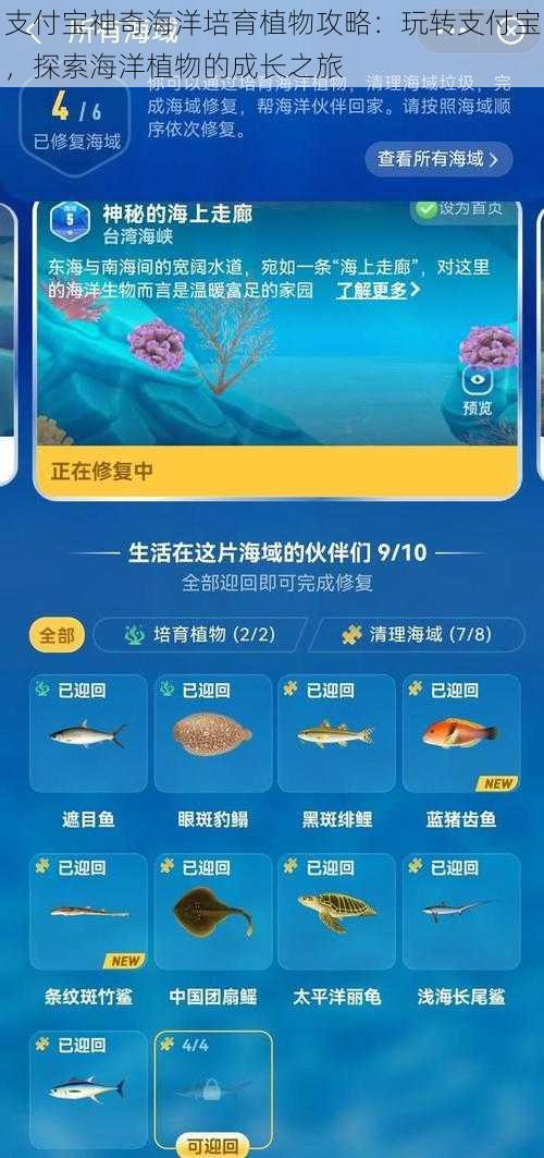 支付宝神奇海洋培育植物攻略：玩转支付宝，探索海洋植物的成长之旅