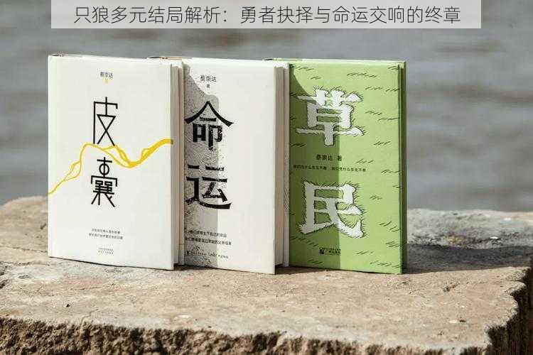 只狼多元结局解析：勇者抉择与命运交响的终章