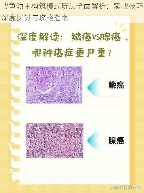 战争领主构筑模式玩法全面解析：实战技巧深度探讨与攻略指南