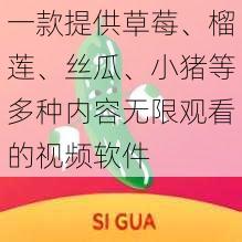 一款提供草莓、榴莲、丝瓜、小猪等多种内容无限观看的视频软件