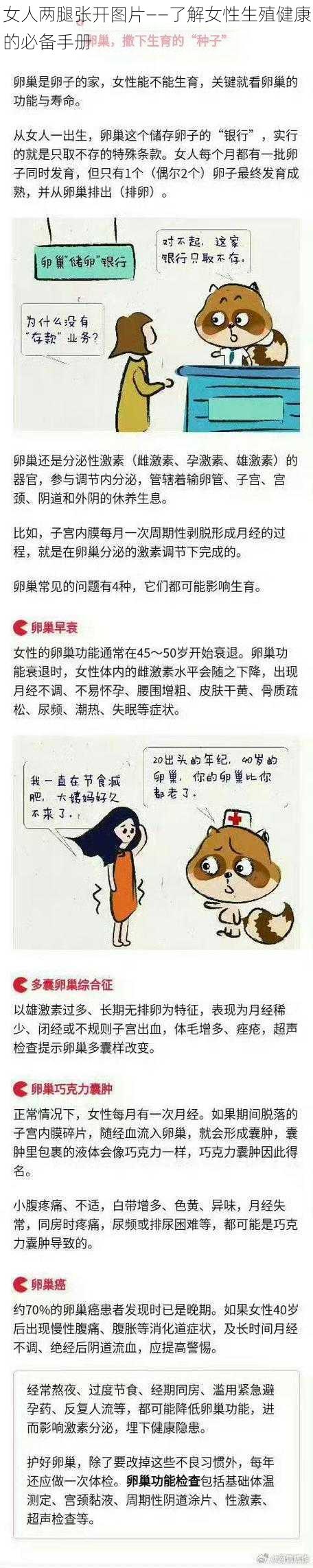 女人两腿张开图片——了解女性生殖健康的必备手册