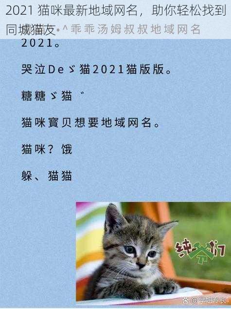 2021 猫咪最新地域网名，助你轻松找到同城猫友