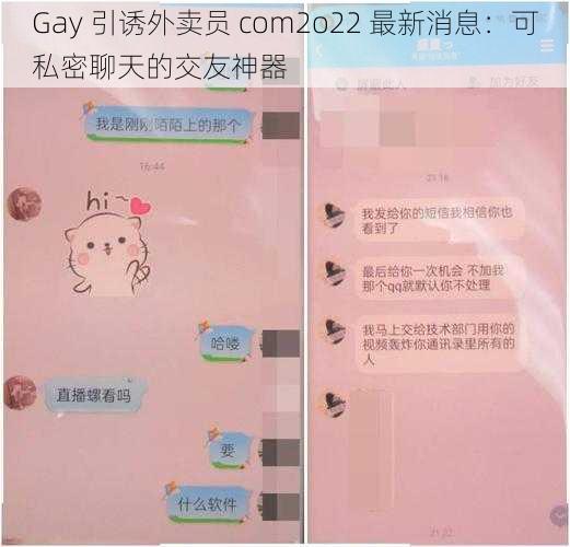 Gay 引诱外卖员 com2o22 最新消息：可私密聊天的交友神器