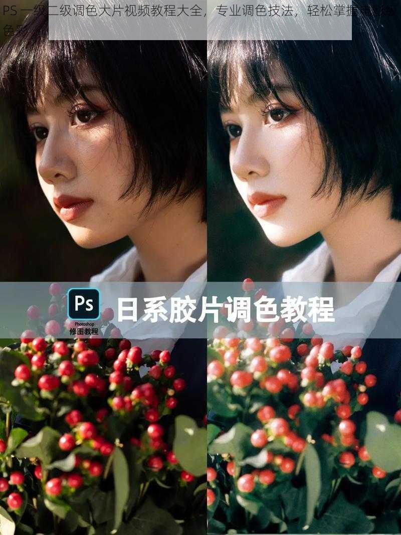 PS 一级二级调色大片视频教程大全，专业调色技法，轻松掌握电影级色彩