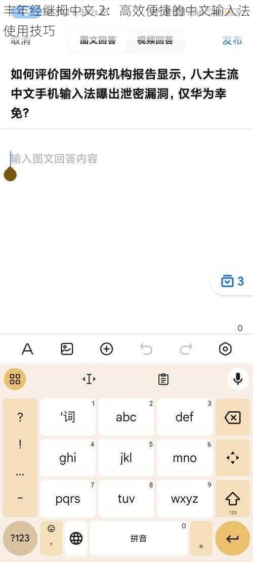 丰年经继拇中文 2：高效便捷的中文输入法使用技巧
