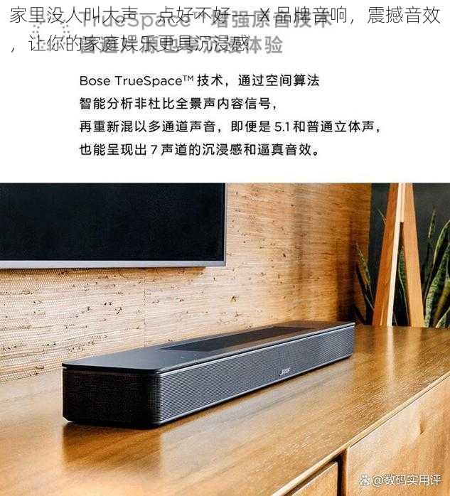 家里没人叫大声一点好不好—— X 品牌音响，震撼音效，让你的家庭娱乐更具沉浸感