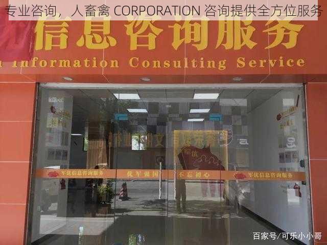 专业咨询，人畜禽 CORPORATION 咨询提供全方位服务