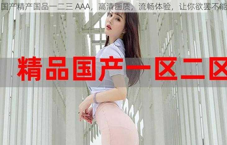 国产精产国品一二三 AAA，高清画质，流畅体验，让你欲罢不能