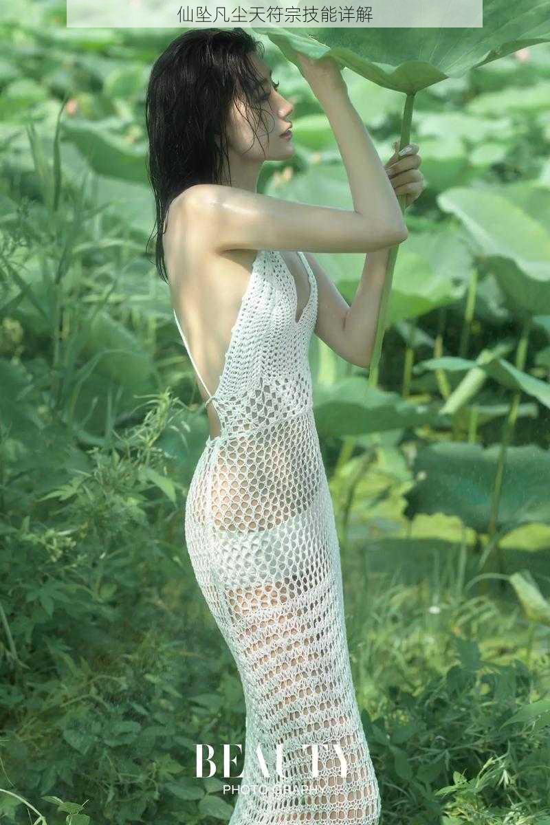 仙坠凡尘天符宗技能详解