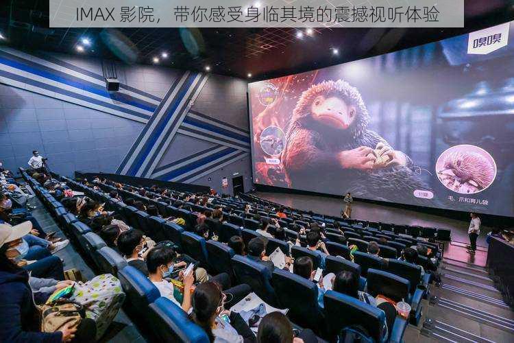 IMAX 影院，带你感受身临其境的震撼视听体验