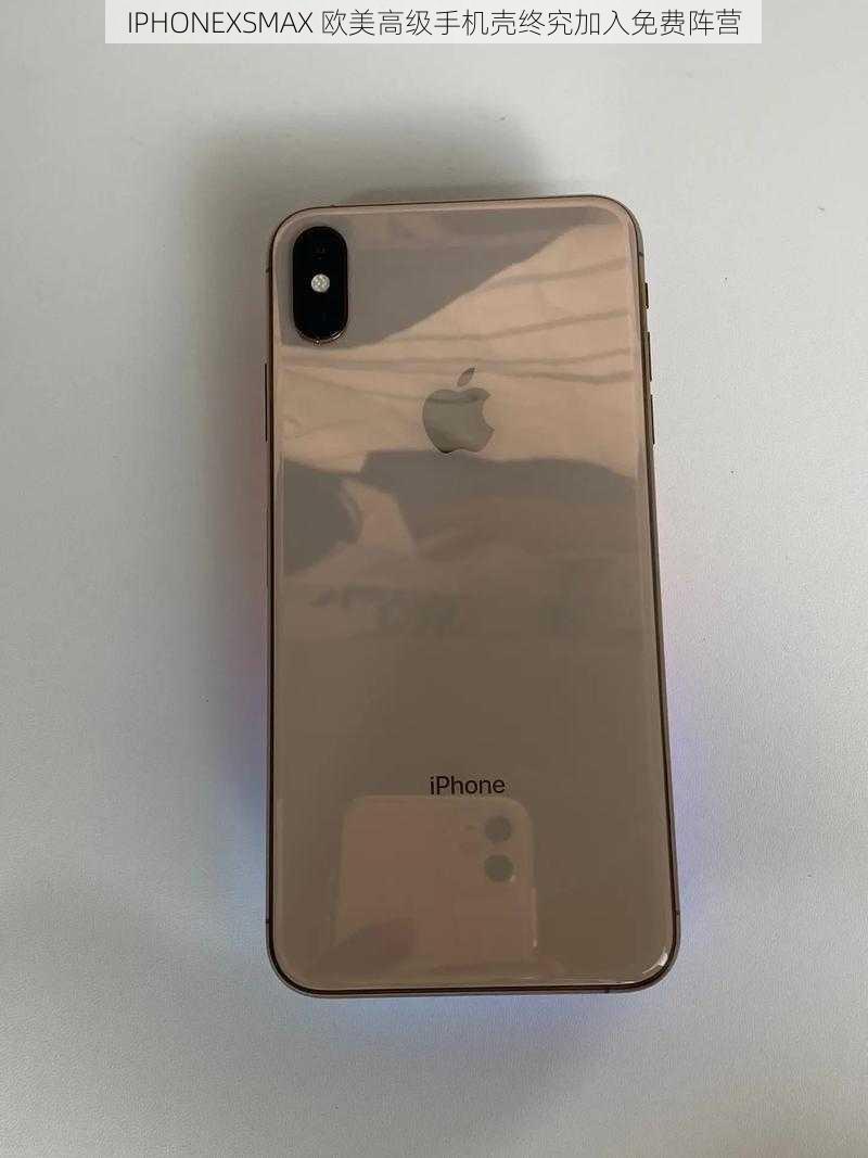 IPHONEXSMAX 欧美高级手机壳终究加入免费阵营