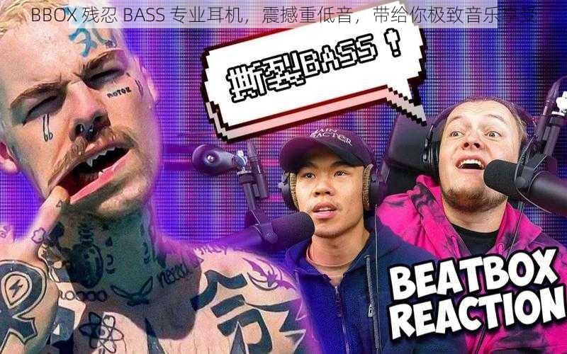 BBOX 残忍 BASS 专业耳机，震撼重低音，带给你极致音乐享受