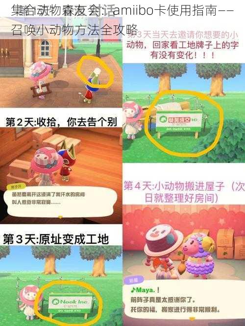 集合动物森友会：amiibo卡使用指南——召唤小动物方法全攻略