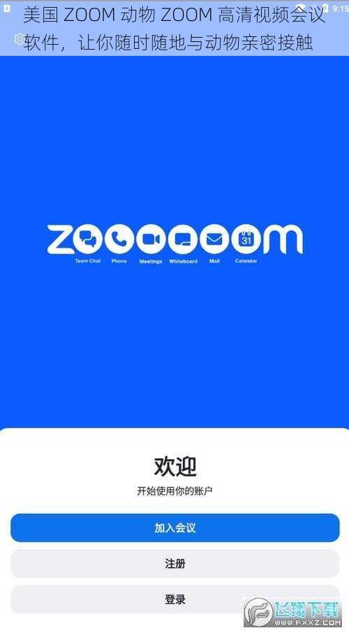 美国 ZOOM 动物 ZOOM 高清视频会议软件，让你随时随地与动物亲密接触