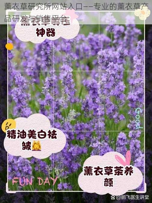 薰衣草研究所网站入口——专业的薰衣草产品研发与销售平台