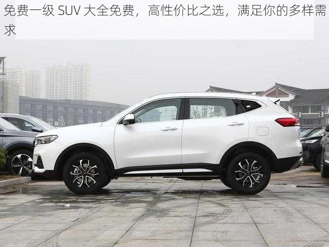 免费一级 SUV 大全免费，高性价比之选，满足你的多样需求