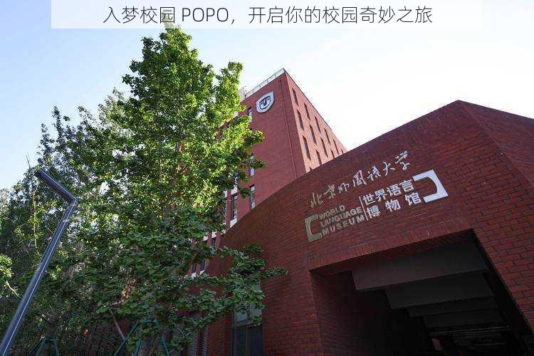 入梦校园 POPO，开启你的校园奇妙之旅