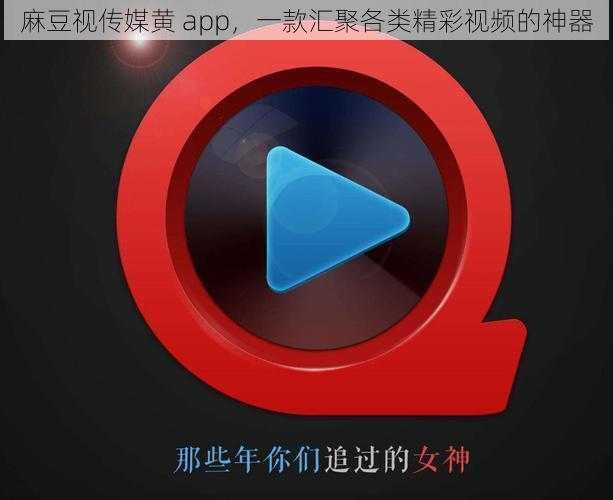 麻豆视传媒黄 app，一款汇聚各类精彩视频的神器