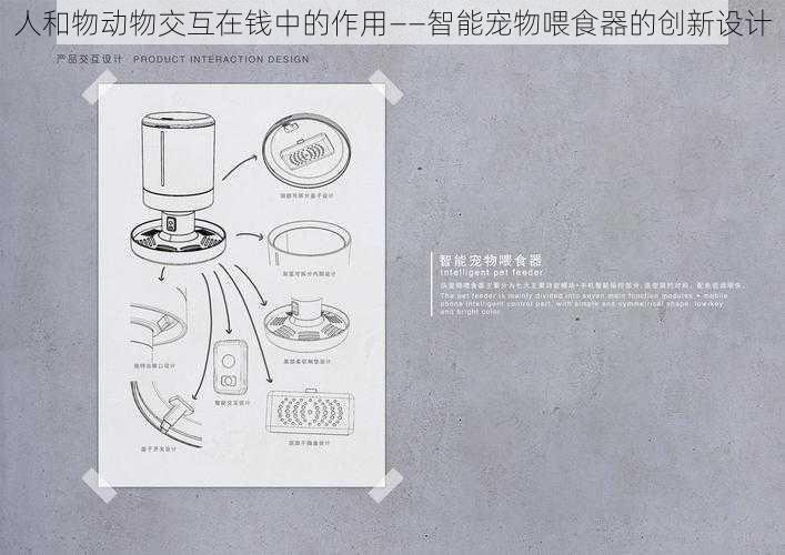 人和物动物交互在钱中的作用——智能宠物喂食器的创新设计