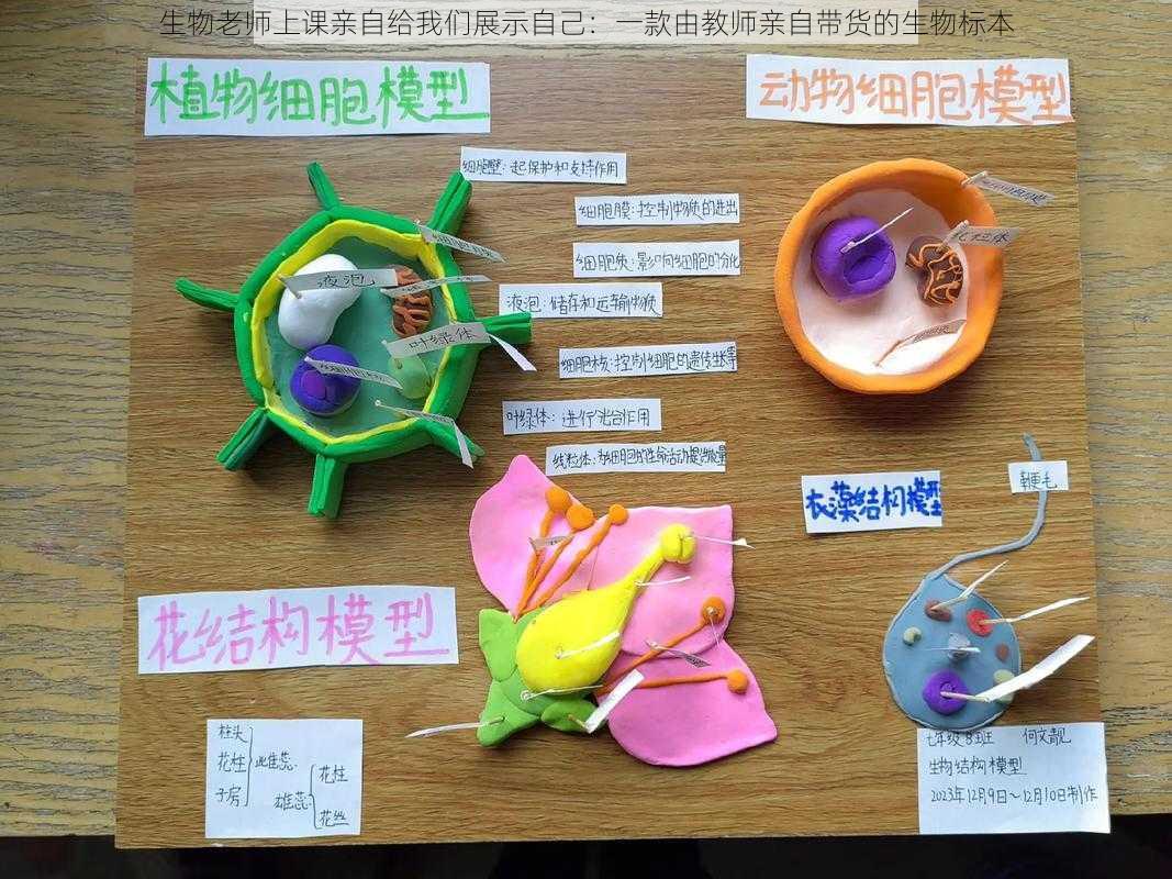 生物老师上课亲自给我们展示自己:一款由教师亲自带货的生物标本