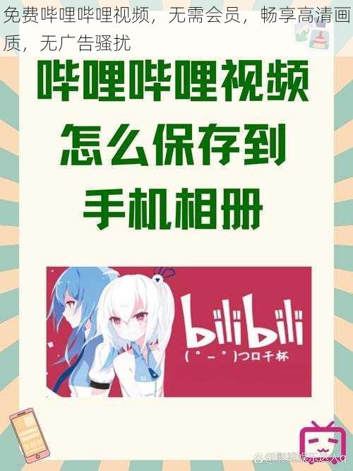 免费哔哩哔哩视频，无需会员，畅享高清画质，无广告骚扰