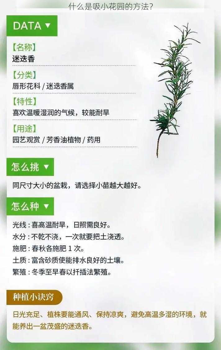 什么是吸小花园的方法？