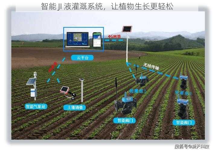 智能 JI 液灌溉系统,让植物生长更轻松