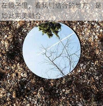 在镜子里,看我们结合的地方,是如此完美融合