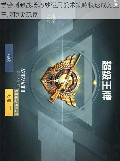 学会刺激战场巧妙运用战术策略快速成为上王牌顶尖玩家