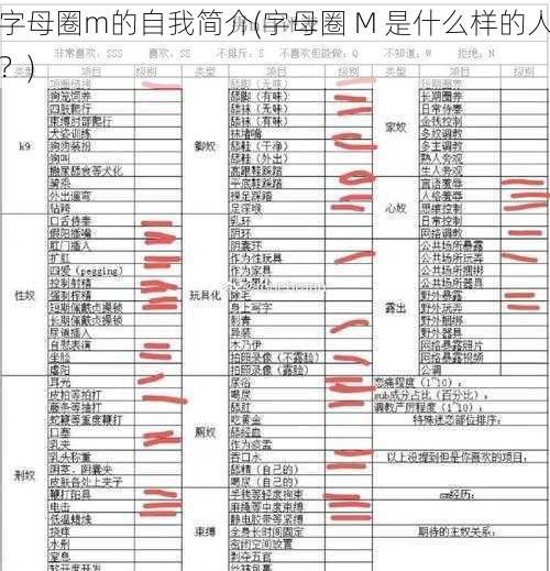 字母圈m的自我简介(字母圈 M 是什么样的人？)