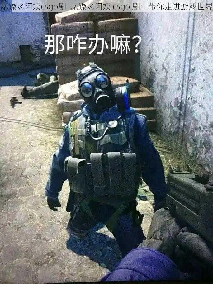 暴躁老阿姨csgo剧_暴躁老阿姨 csgo 剧：带你走进游戏世界